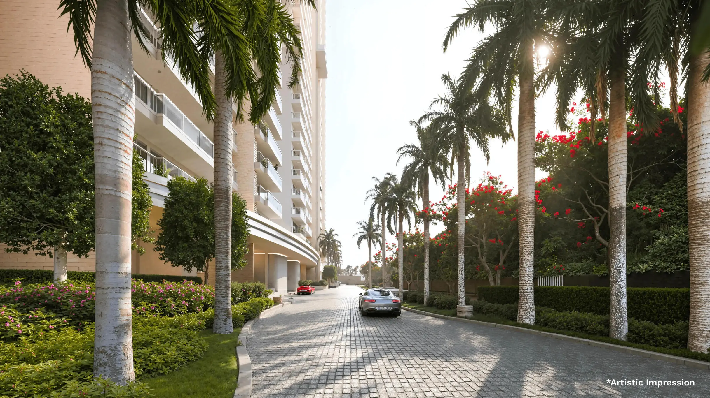 ikaer8g_1746518423_593275967_optOrig